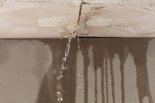 Professional Water Damage Repair technician working in Marysville, PA